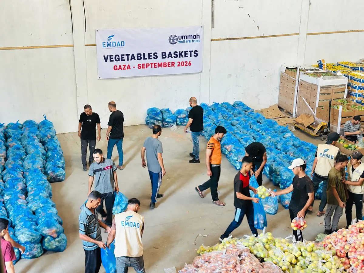 Team packing vegetable baskets at the warehouse in Gaza
