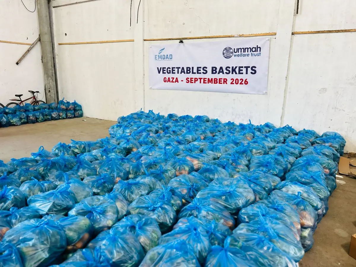 Packed vegetable baskets ready for distribution in Gaza